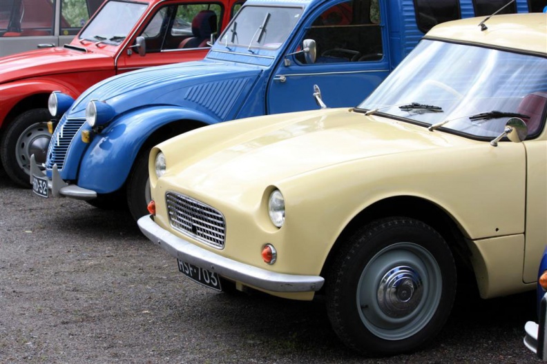 IMG_3336 _Large_.jpg